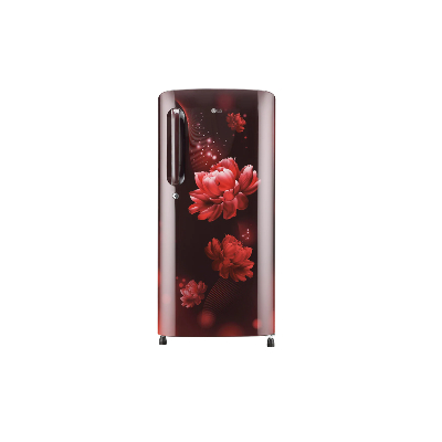 GL-B201ASCZ 190 L, Smart Inverter Compressor